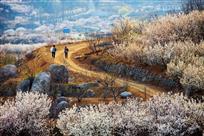 上山路上
