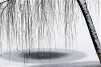 雪·湖