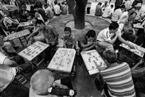 《以棋会友》  杨梅珠摄