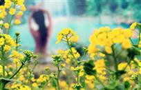 《小芳和她家的油菜花》