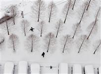 赏雪去喽