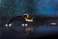 雨中蜗居