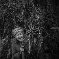 母亲的肩膀