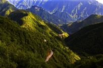 绿色崛起