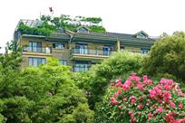 屋顶花园