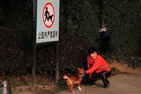 现身说法