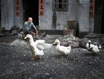操步