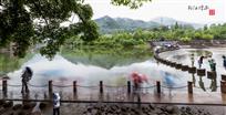柳江烟雨