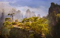 《雾锁群峰》