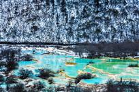 水墨黄龙