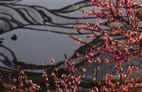 春回大地