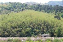 山里人家