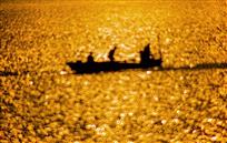 金海泛舟