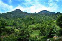 满目青山