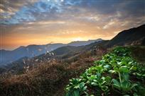 山乡晨景