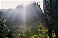 大山中的光影
