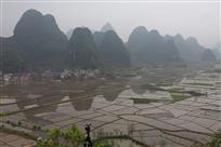 会仙美景