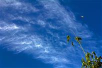 搏击长空