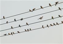 《憩息》