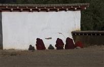 闭壁思过