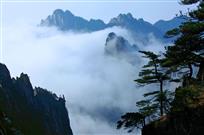 黄山云海