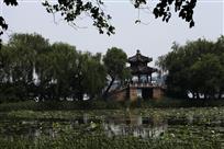 镜桥翠色