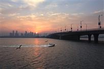 龙子湖的朝阳