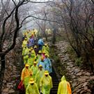 雨中登黄山