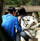 非诚勿扰！