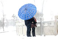雪之恋