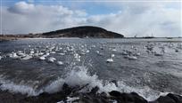 港湾冬韵