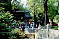 密林古祠