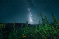 梦幻夜色