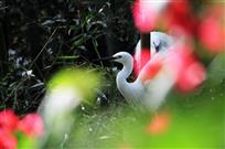 独出新彩