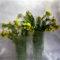 菜似花