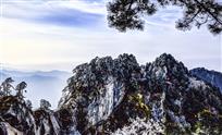 骆驼峰