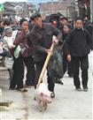 赶场