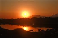 夕阳牧歌
