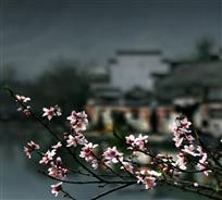 春色