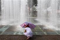 《夏日听“雨”》——周金平摄