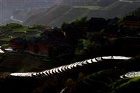 龙归故里