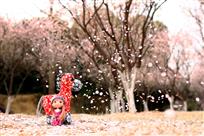 马年愿望