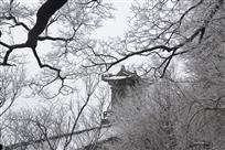 玉宇琼阁