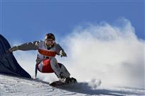 《雪中飞》