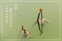 残荷