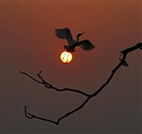 夕阳无语