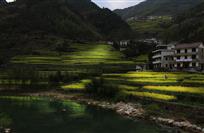 《台回山》