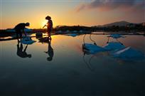 盐田夕照