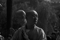 在人群中多看了你一眼