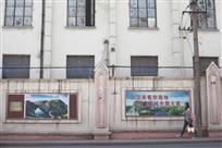 城市